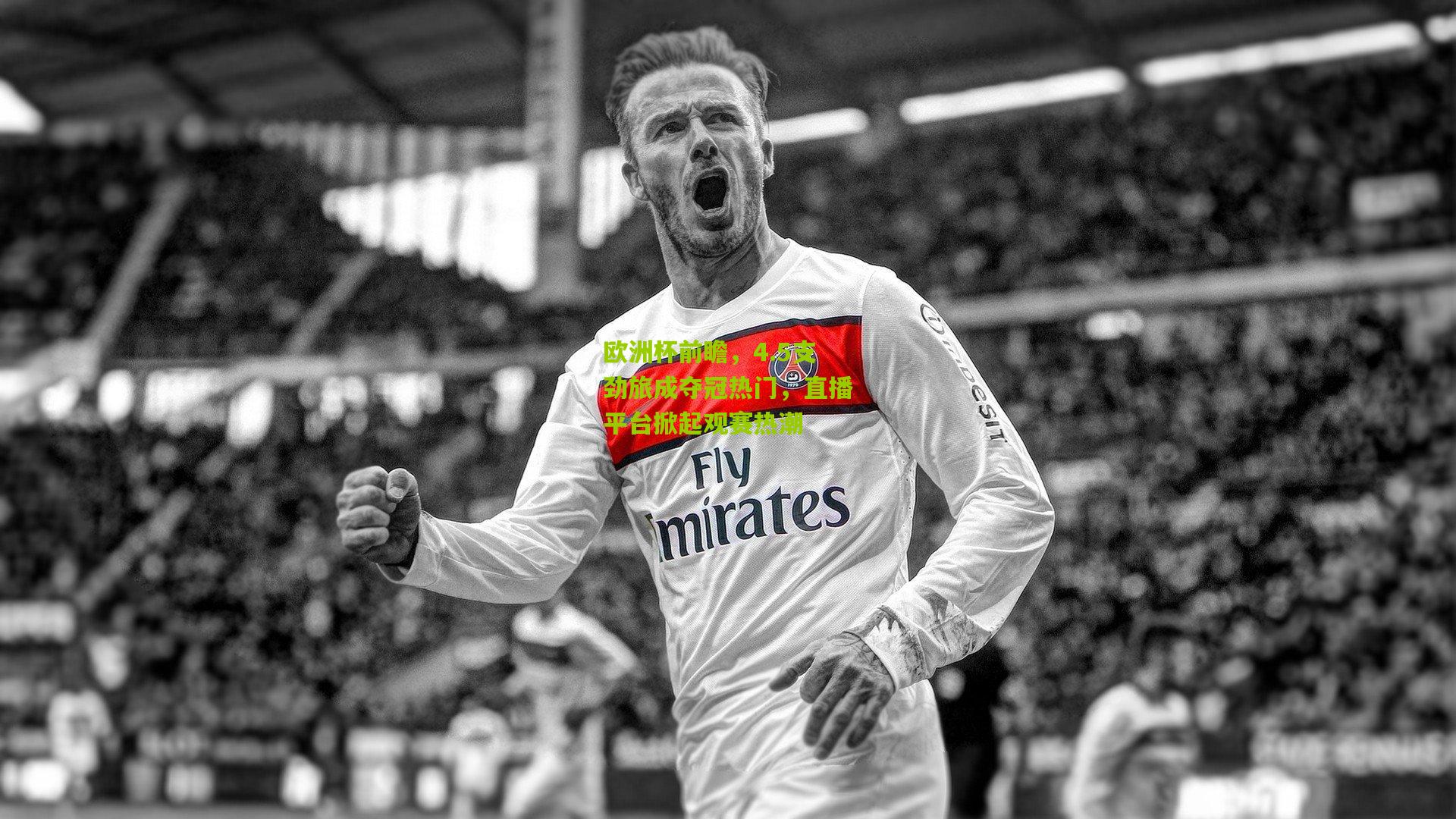 欧洲杯前瞻,4.5支劲旅成夺冠热门,直播平台掀起观赛热潮