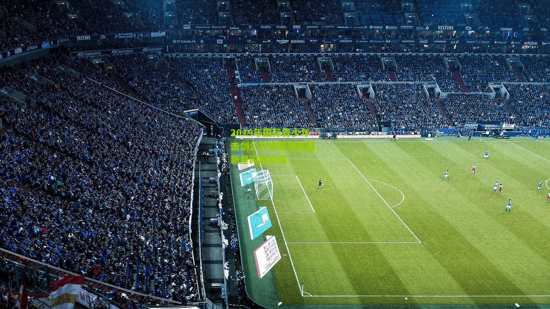 2019年国际青少年击剑公开赛圆满落幕,新星闪耀剑道